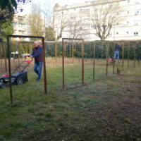 jardin-partage-lapanouse-2019002-potager-solidaire_lesmainssurterre