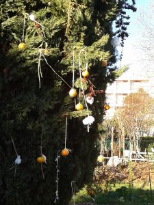 jardin-lapanouse-2015-12-30-decoration-noel2-lesmainssurterre