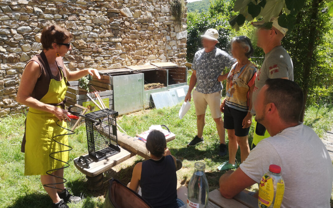 Formation des référent·es de site