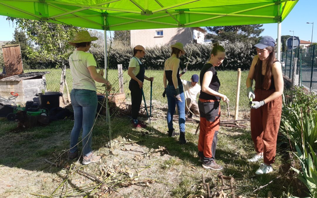Retour en images sur notre évènement « Goûter Compost »
